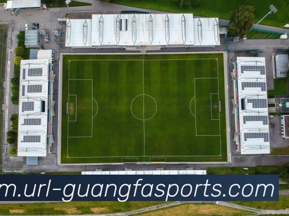 广发体育APP 高清赛事图